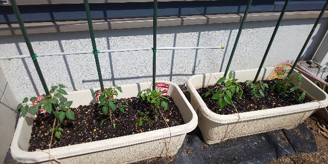 f:id:i_c_o:20210412103826j:plain