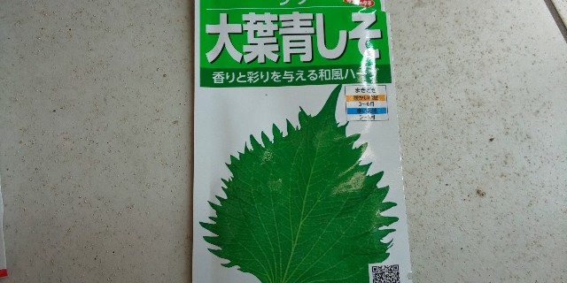 f:id:i_c_o:20210419111830j:plain