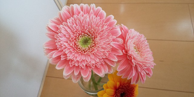 f:id:i_c_o:20210521113251j:plain