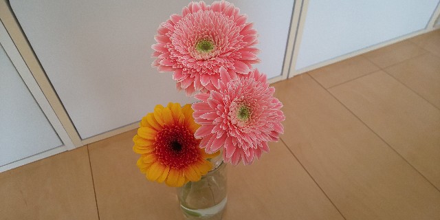 f:id:i_c_o:20210521113257j:plain