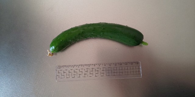 f:id:i_c_o:20210610075824j:plain