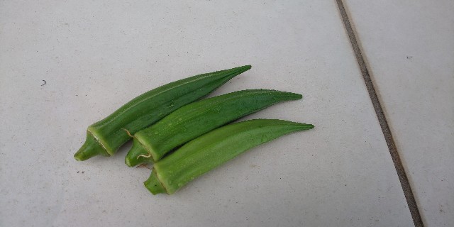 f:id:i_c_o:20210614081400j:plain