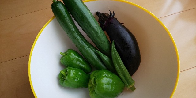 f:id:i_c_o:20210615080620j:plain