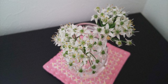 f:id:i_c_o:20210906110225j:plain