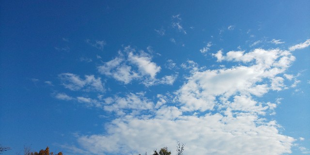 f:id:i_c_o:20211203141405j:plain