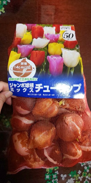 f:id:i_c_o:20220105082853j:plain