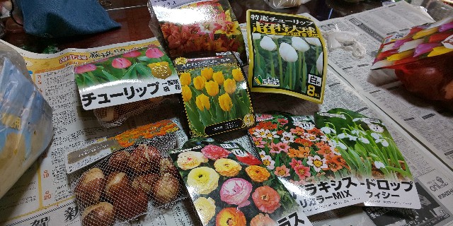 f:id:i_c_o:20220105082900j:plain