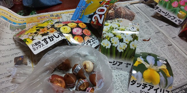 f:id:i_c_o:20220105082905j:plain