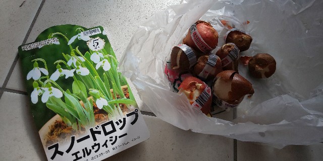 f:id:i_c_o:20220106054849j:plain