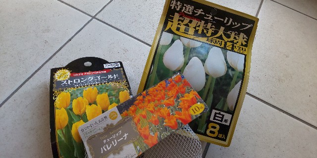 f:id:i_c_o:20220106154940j:plain