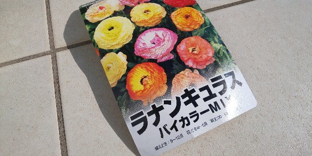 f:id:i_c_o:20220108140624j:plain