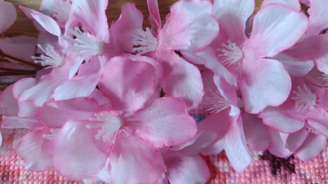 f:id:i_c_o:20240216104402j:image