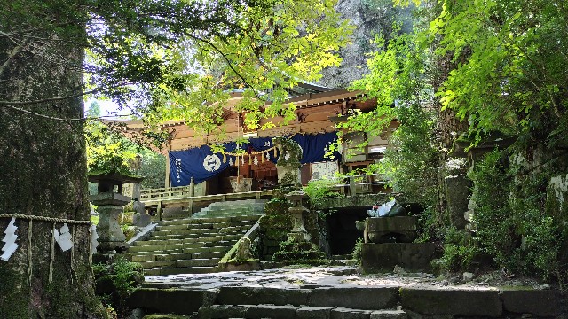 f:id:i_c_o:20240822081552j:image