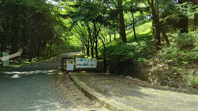 f:id:i_c_o:20240822081808j:image