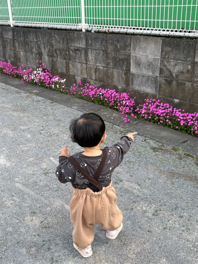f:id:i_kill__zzz:20260418222845j:image