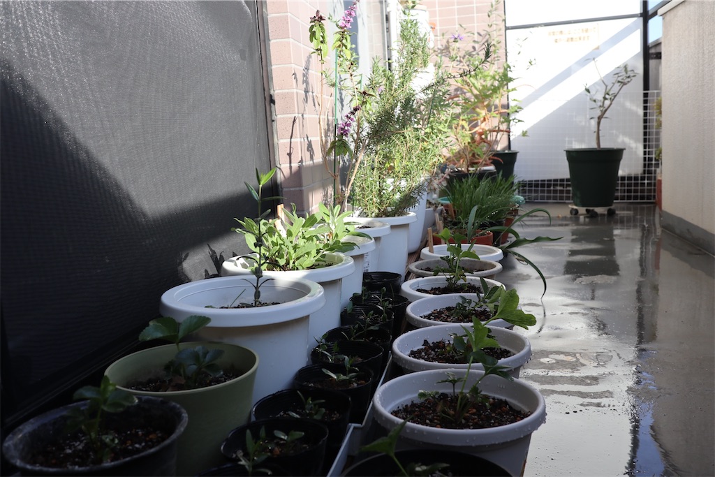 f:id:i_knit_you_purl:20250406164631j:image f:id:i_knit_you_purl:20250406164631j:image