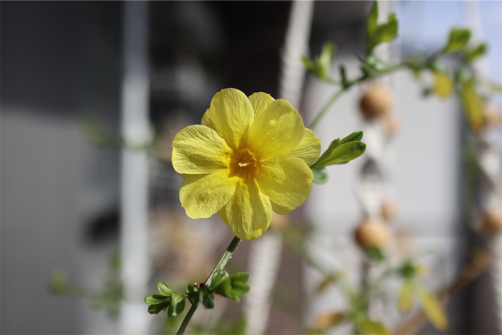 f:id:i_knit_you_purl:20250406165209j:image f:id:i_knit_you_purl:20250406165209j:image