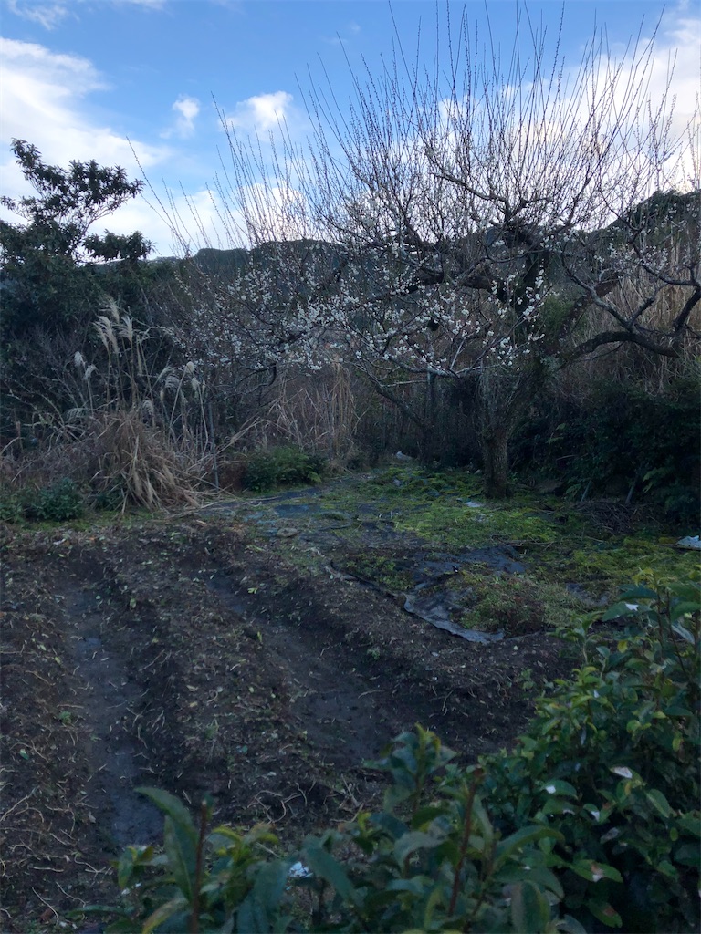 f:id:i_kowa:20200217055207j:image f:id:i_kowa:20200217055207j:image