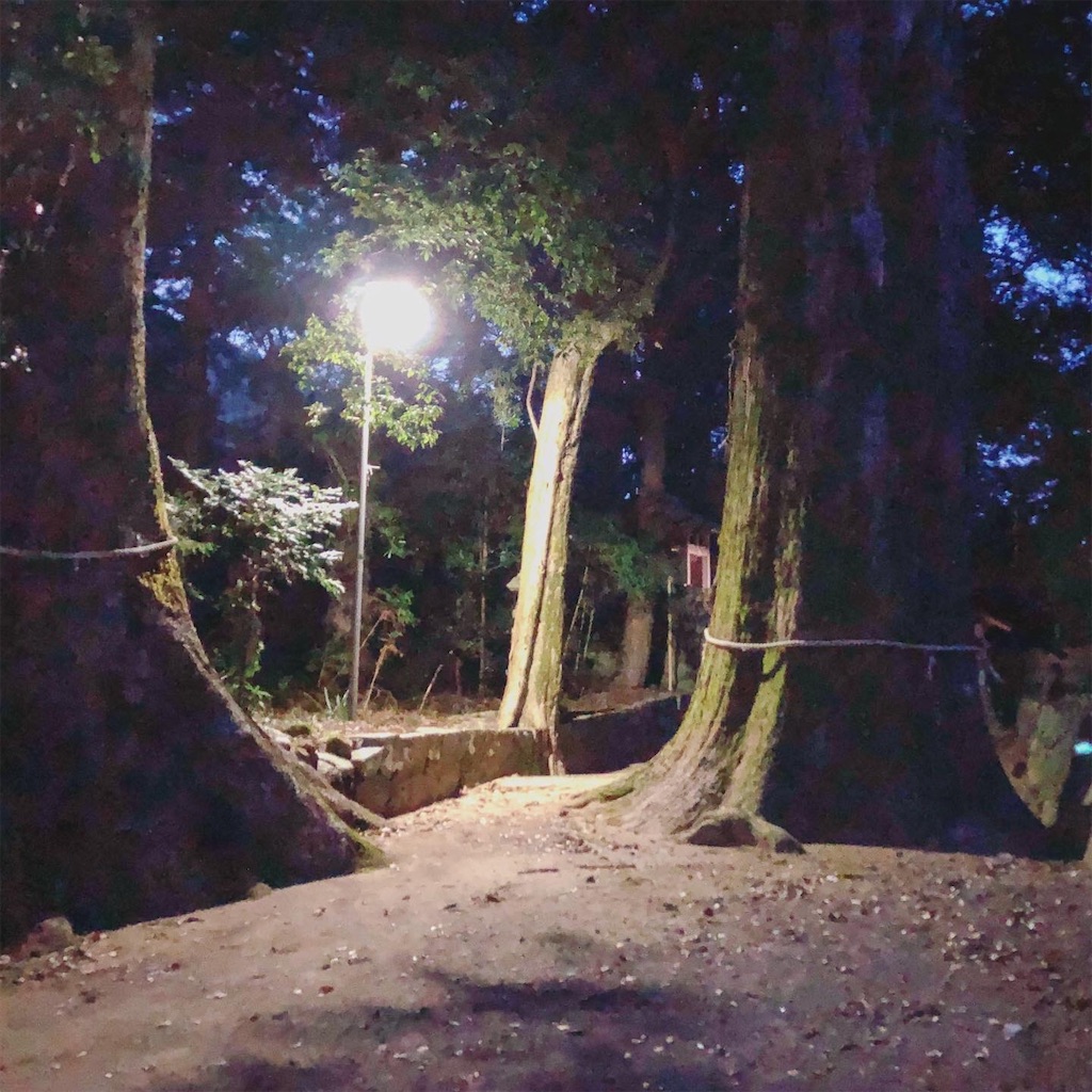 f:id:i_kowa:20200312231416j:image f:id:i_kowa:20200312231416j:image