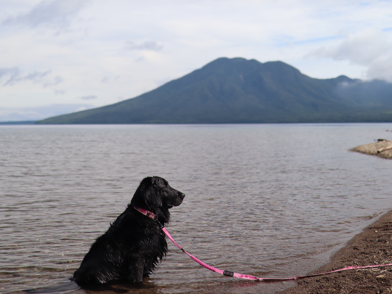 f:id:i_like_mcc:20210827084234j:plain