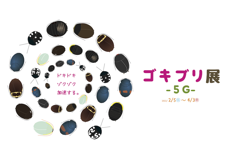 f:id:i_like_mcc:20220115220740j:plain