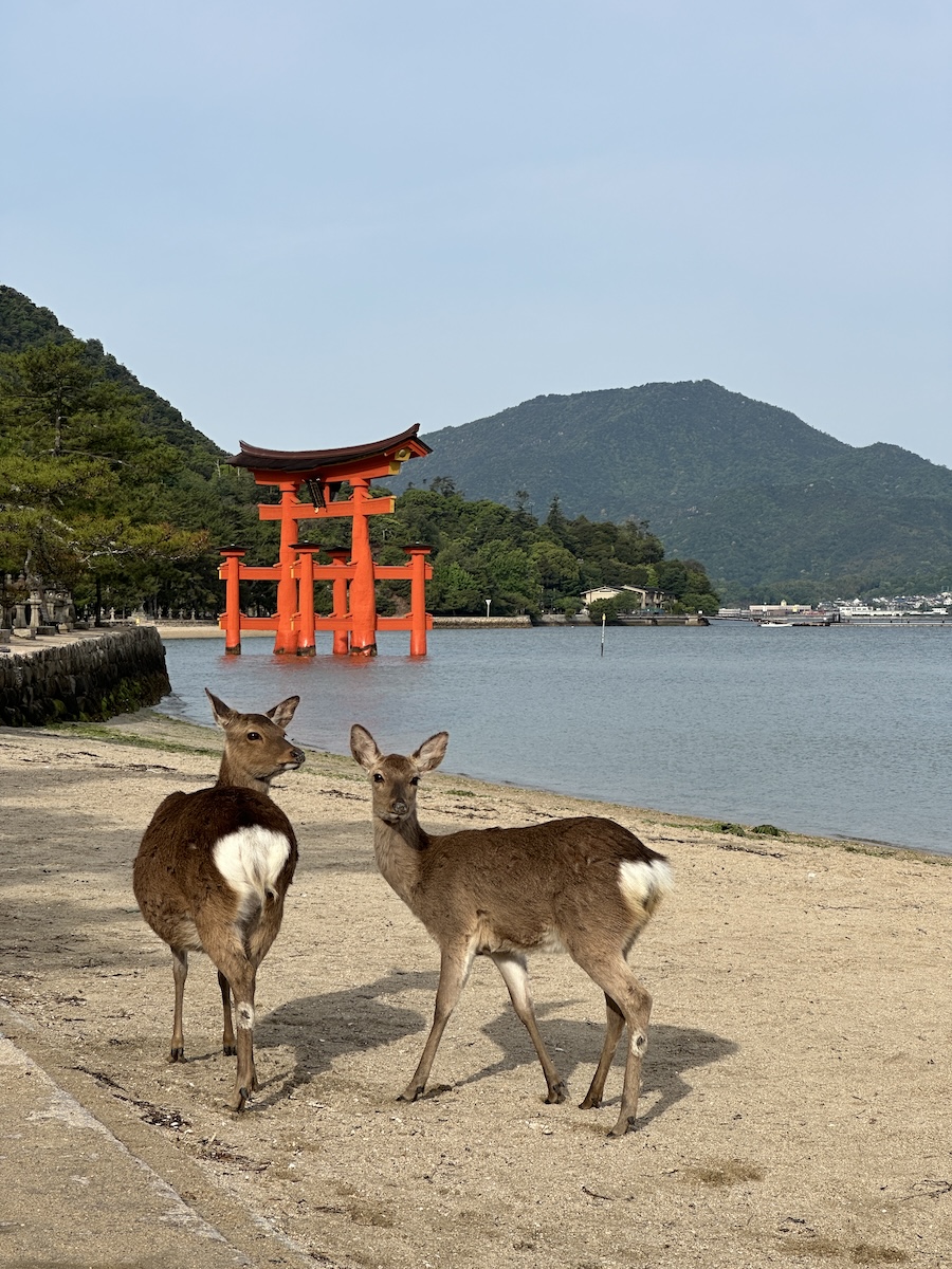 おでかけ】2024年のGWは広島へ Vol.2 〜宮島・弥山を登山〜 - 日本