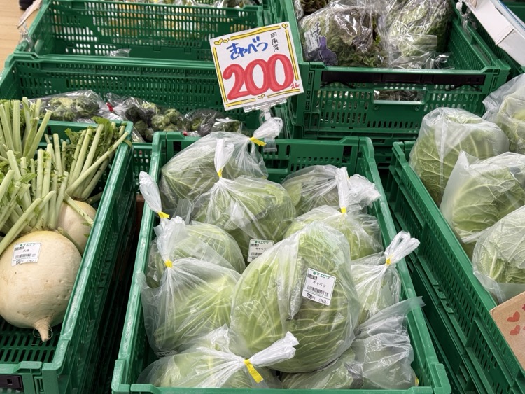 食べ物】田原市、豊橋市ではキャベツが安く売っていた - 日本“シン”記録