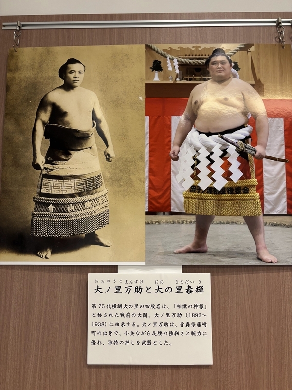 相撲を見る眼　相撲もの知り博士 バイリンガルで楽しむ日本文化 相撲見物 The Perfect Guide To