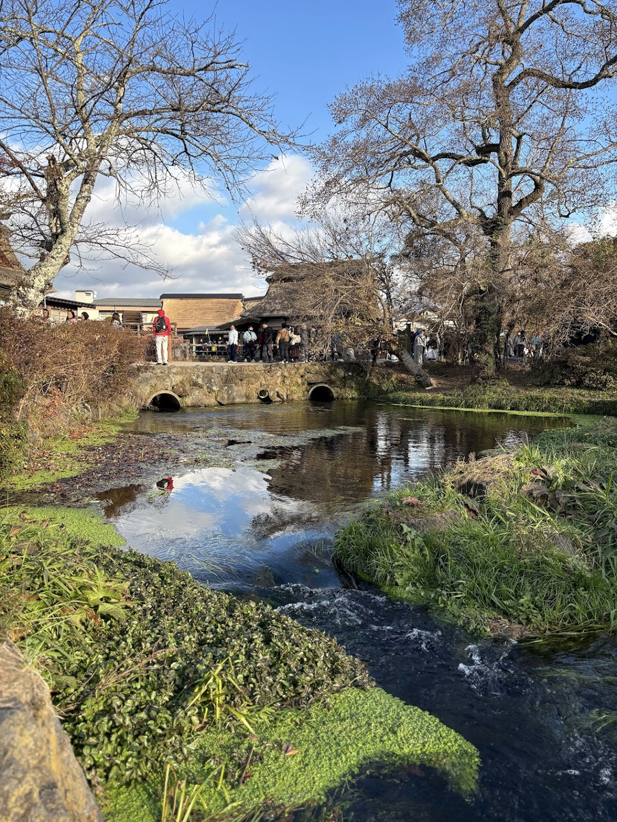 美しいせせらぎ