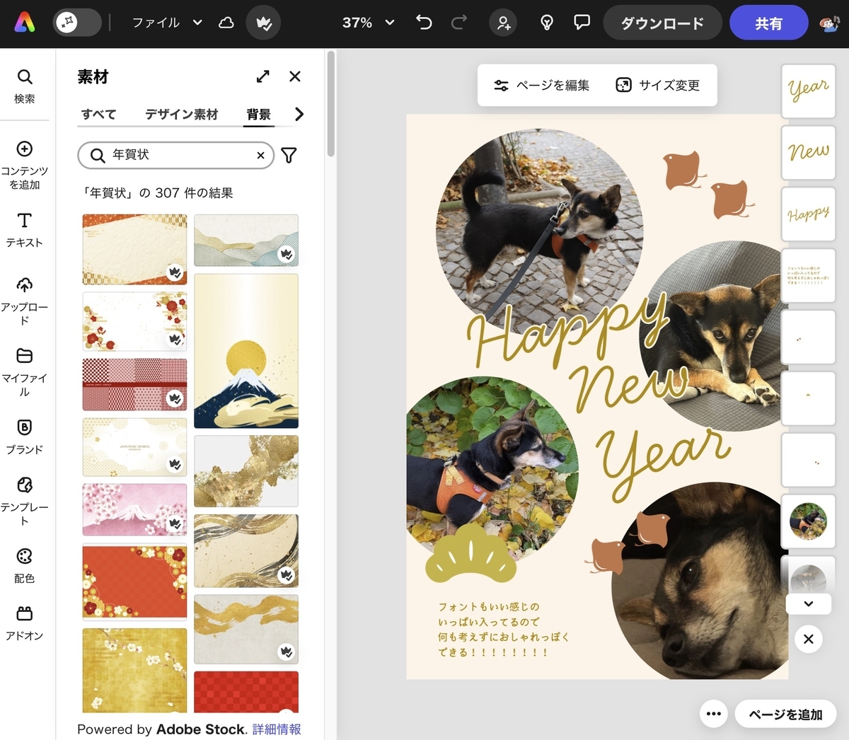 友達の犬を預かって最高だった＆Adobe Expressさわってみた