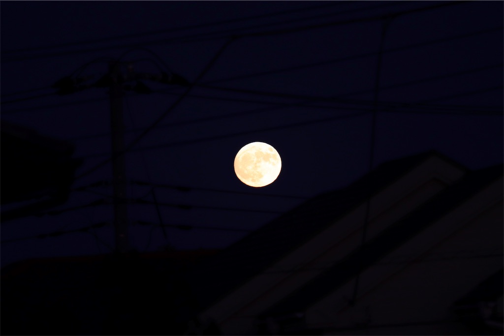 f:id:i_sohito:20191013191352j:image