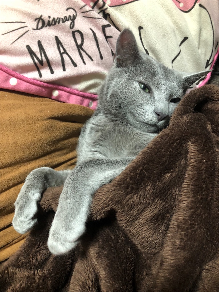 f:id:iamMcAt:20180630151331j:image f:id:iamMcAt:20180630151331j:image