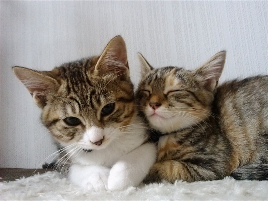 f:id:iamMcAt:20180630151552j:image f:id:iamMcAt:20180630151552j:image