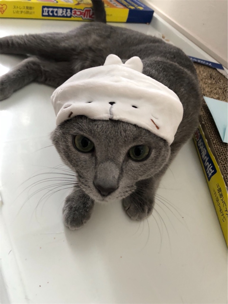 f:id:iamMcAt:20180630151651j:image f:id:iamMcAt:20180630151651j:image