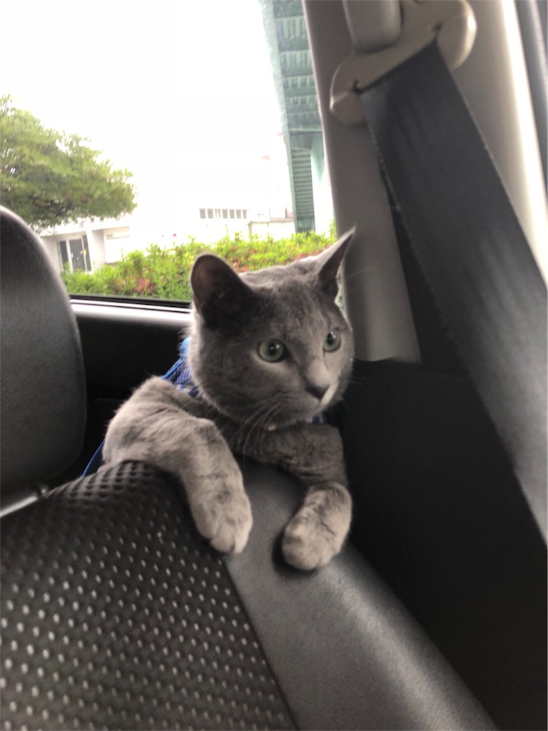 f:id:iamMcAt:20180701201059j:image f:id:iamMcAt:20180701201059j:image
