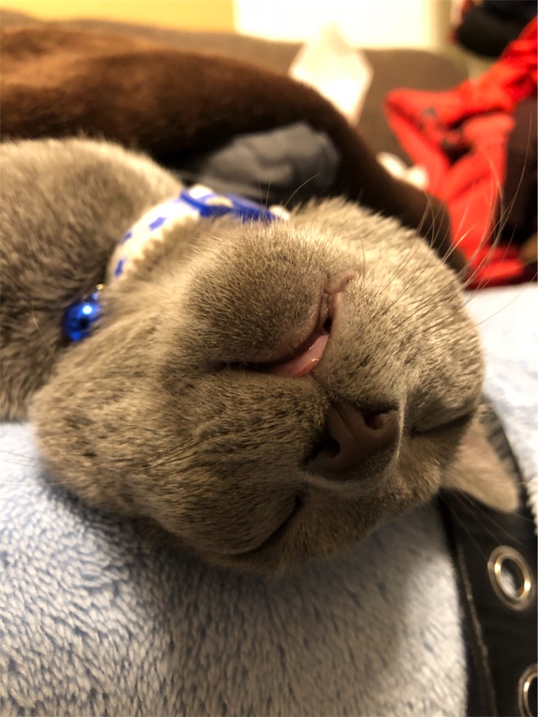 f:id:iamMcAt:20180701201308j:image f:id:iamMcAt:20180701201308j:image