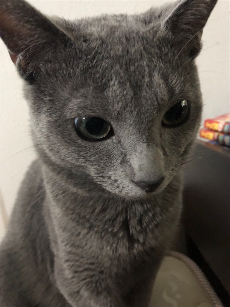 f:id:iamMcAt:20180805214738j:image f:id:iamMcAt:20180805214738j:image