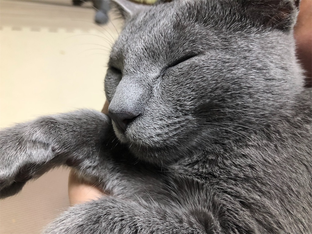 f:id:iamMcAt:20180805214803j:image f:id:iamMcAt:20180805214803j:image