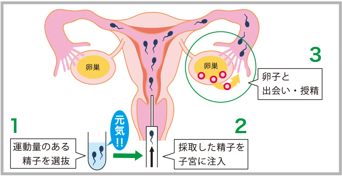 f:id:iamharukosan:20210427175148j:plain