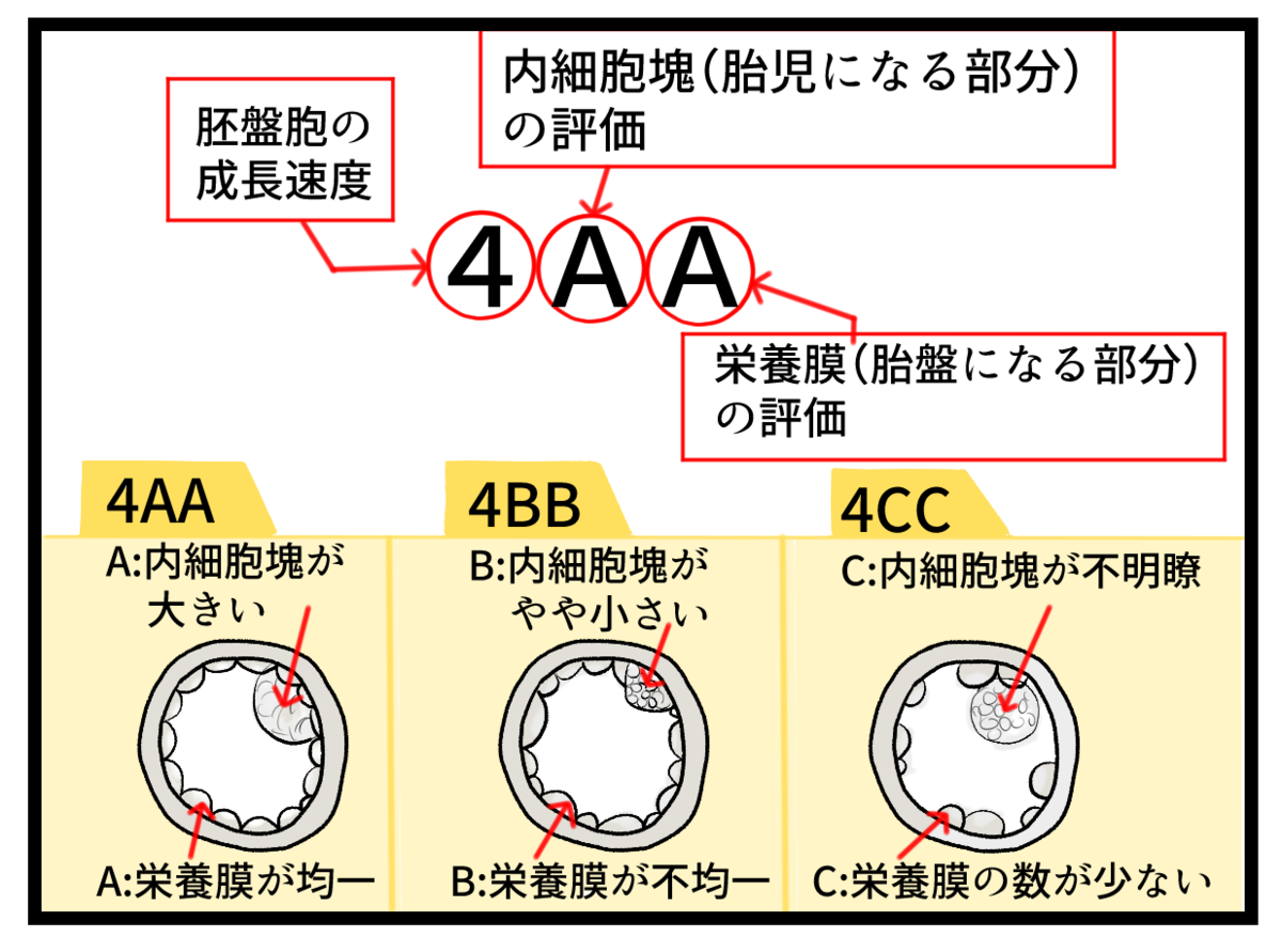 f:id:iamharukosan:20210525155357p:plain
