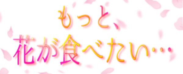 f:id:iamisosimai:20220406225349j:plain