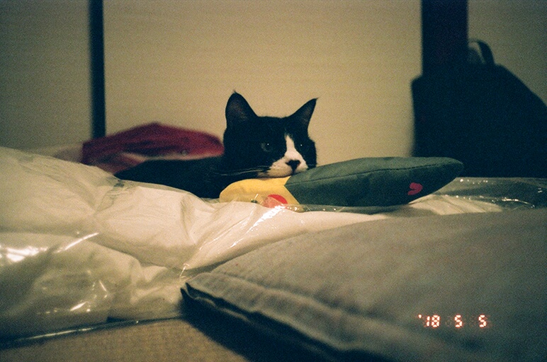 f:id:iamkohachi:20211116193104j:plain:w400