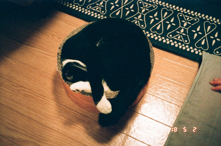 f:id:iamkohachi:20211120072548j:plain:w400