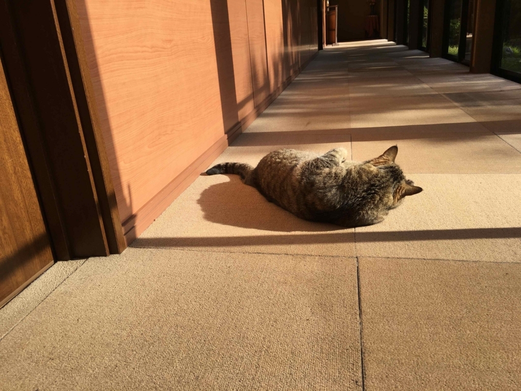 f:id:iamkuntao:20180501220101j:plain f:id:iamkuntao:20180501220101j:plain