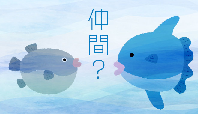 f:id:iammanbo:20180722235121j:plain f:id:iammanbo:20180722235121j:plain