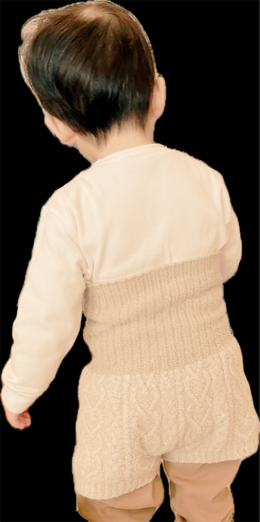 f:id:iammomochan:20250118151644j:image