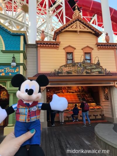 カリフォルニア ディズニー ミッキー キャスト