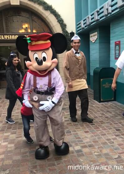 カリフォルニア ディズニー ミッキー キャラクター コスチューム