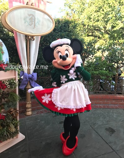 カリフォルニア ディズニー ミニー キャラブレ