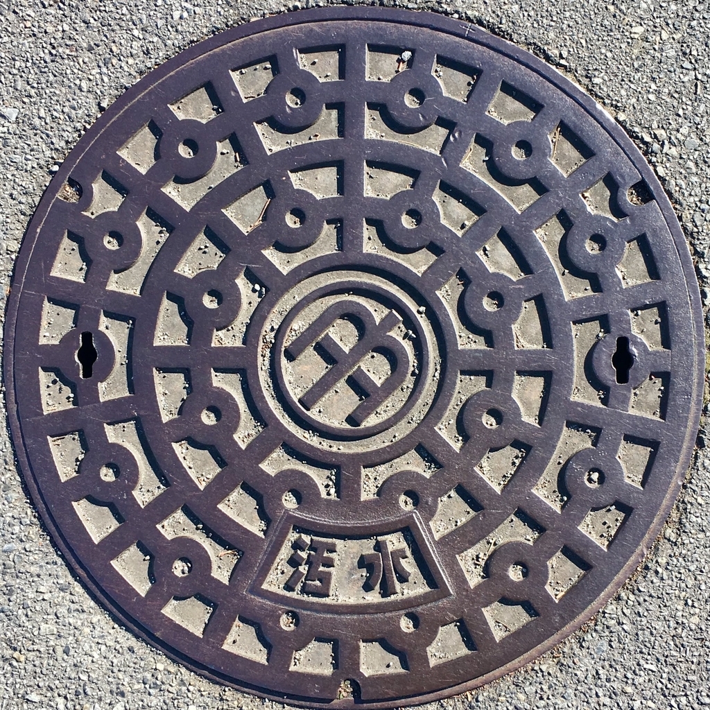 f:id:iamokura:20190111213738j:plain f:id:iamokura:20190111213738j:plain